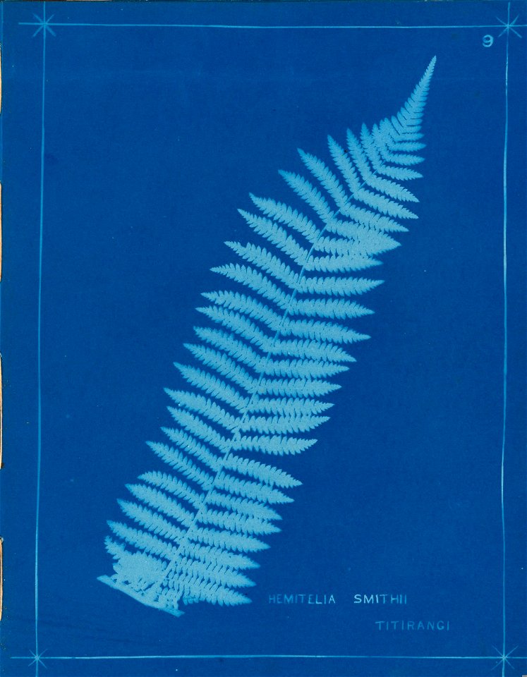n14_w1150