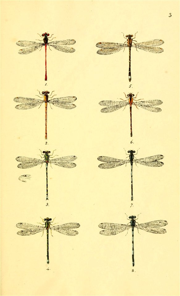 n36_w1150