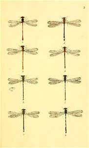 n36_w1150