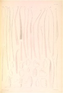 n306_w1150