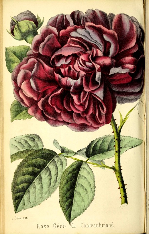 n159_w1150