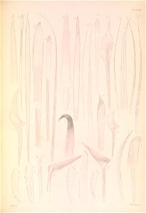 n302_w1150