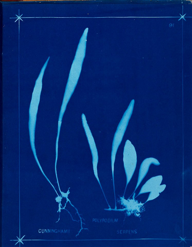 n100_w1150