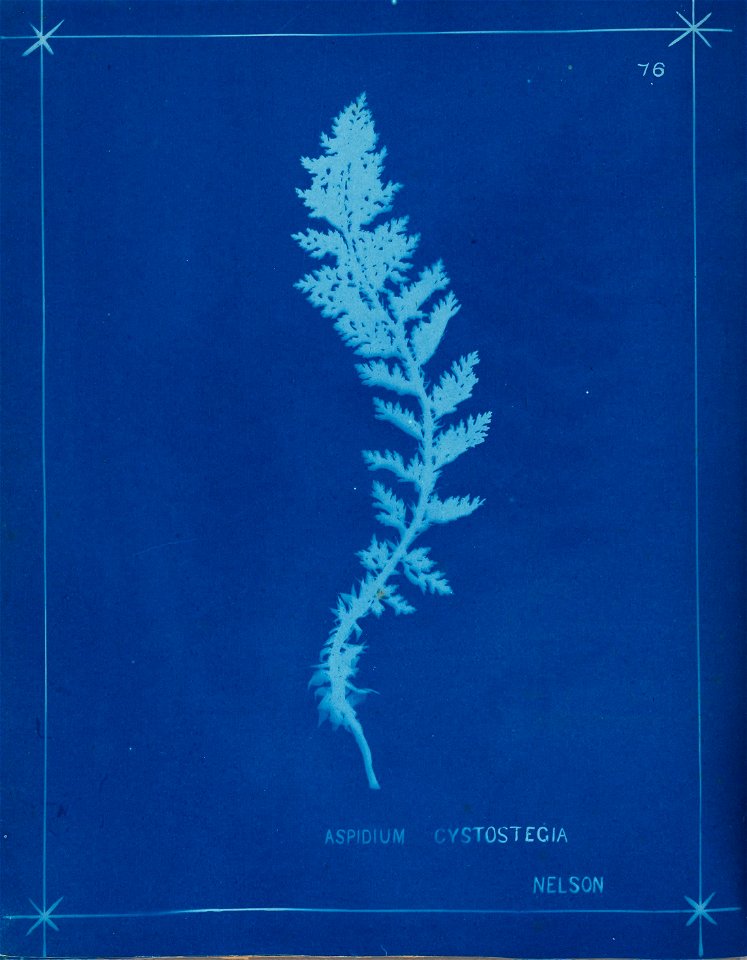 n85_w1150