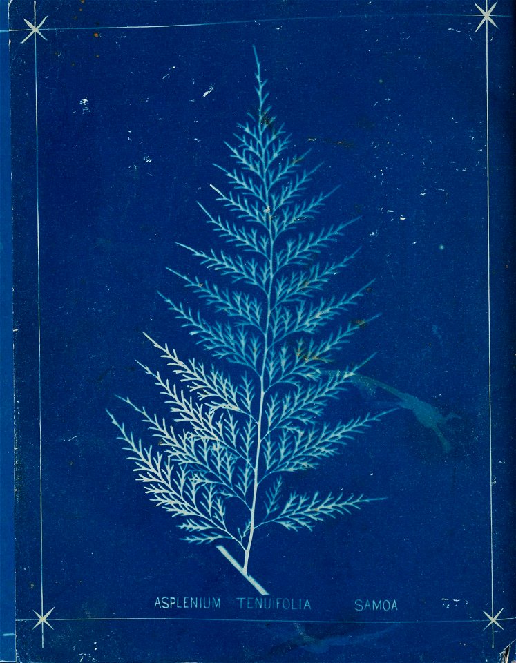 n115_w1150