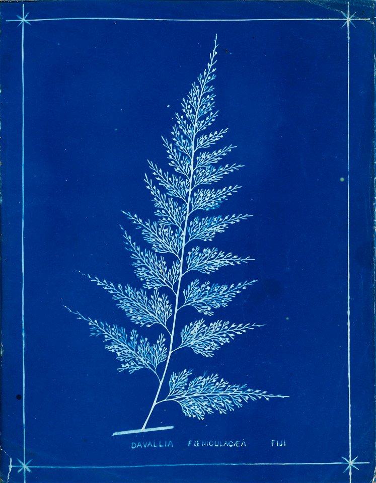 n53_w1150
