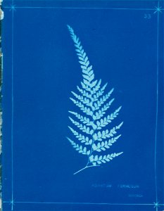 n38_w1150