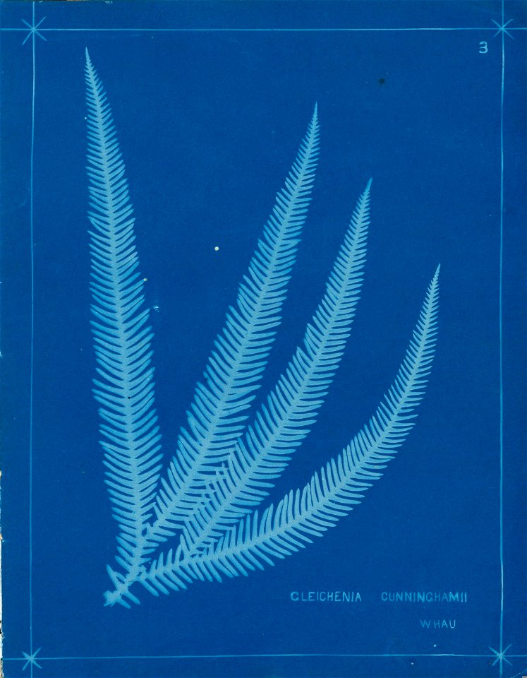 n8_w1150