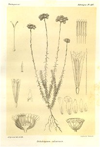 n112_w1150