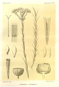 n111_w1150
