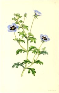 n143_w1150