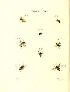 n107_w1150