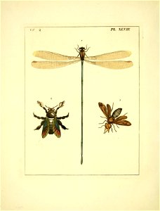 n199_w1150