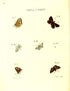 n163_w1150