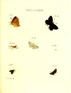 n162_w1150