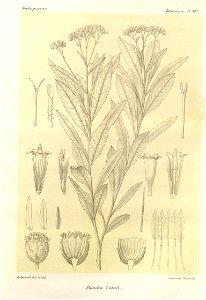 n102_w1150