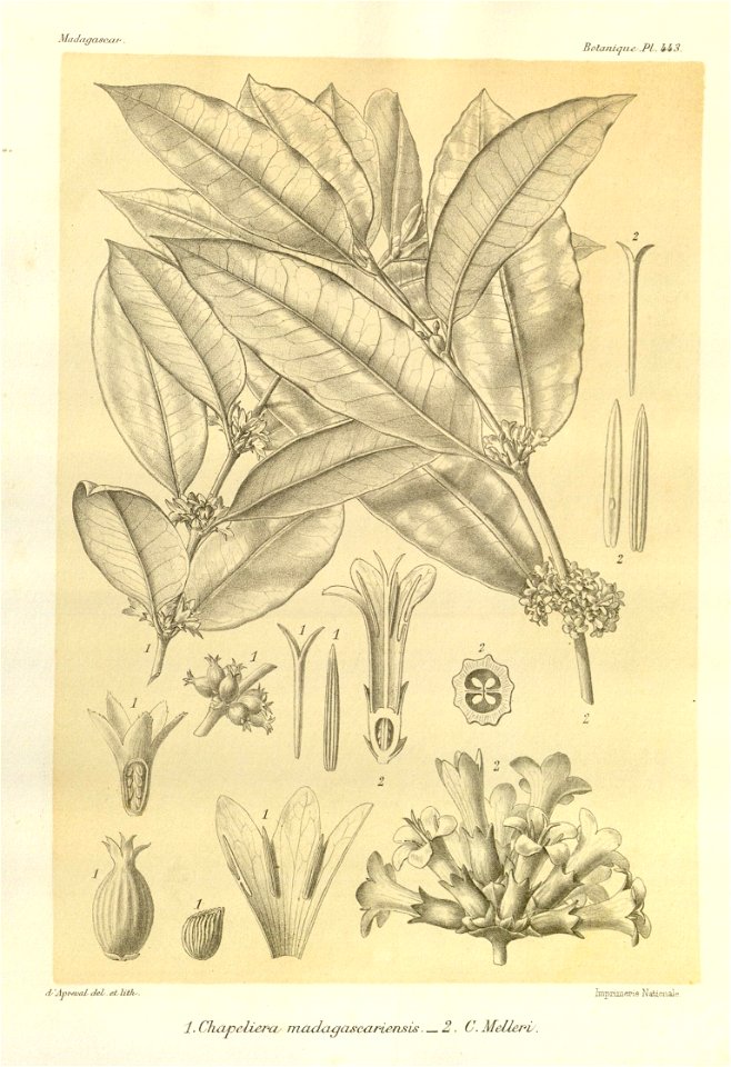 n57_w1150