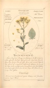 n58_w1150
