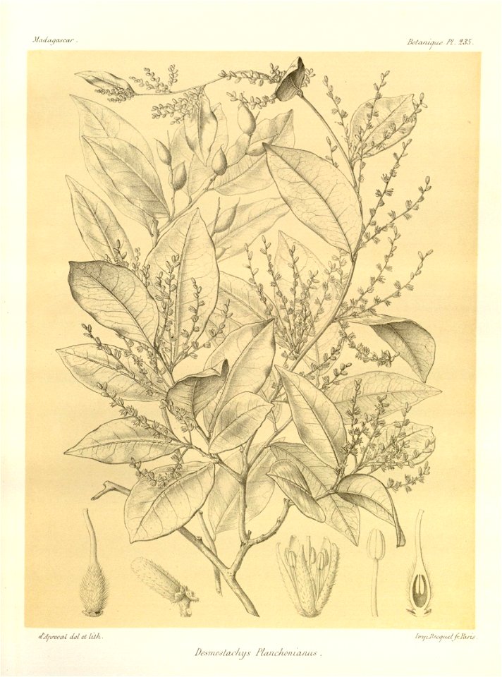 n114_w1150