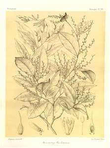 n114_w1150