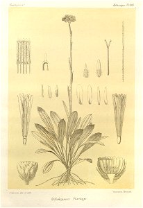 n110_w1150