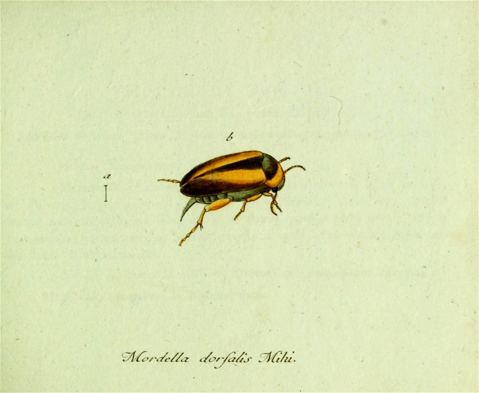 n62_w1150