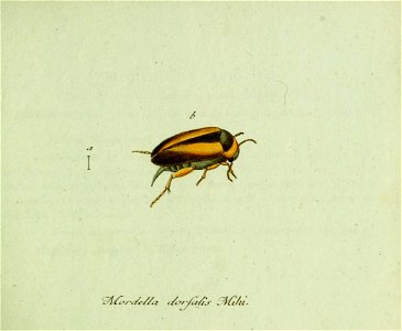 n62_w1150