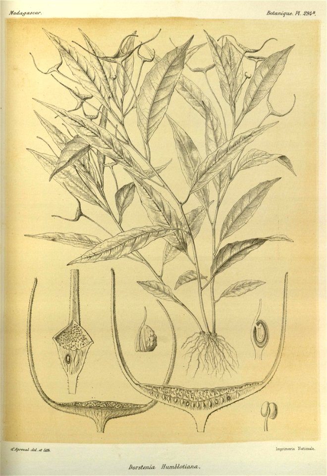 n50_w1150