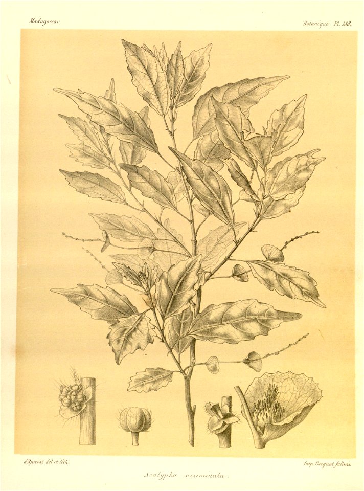 n59_w1150