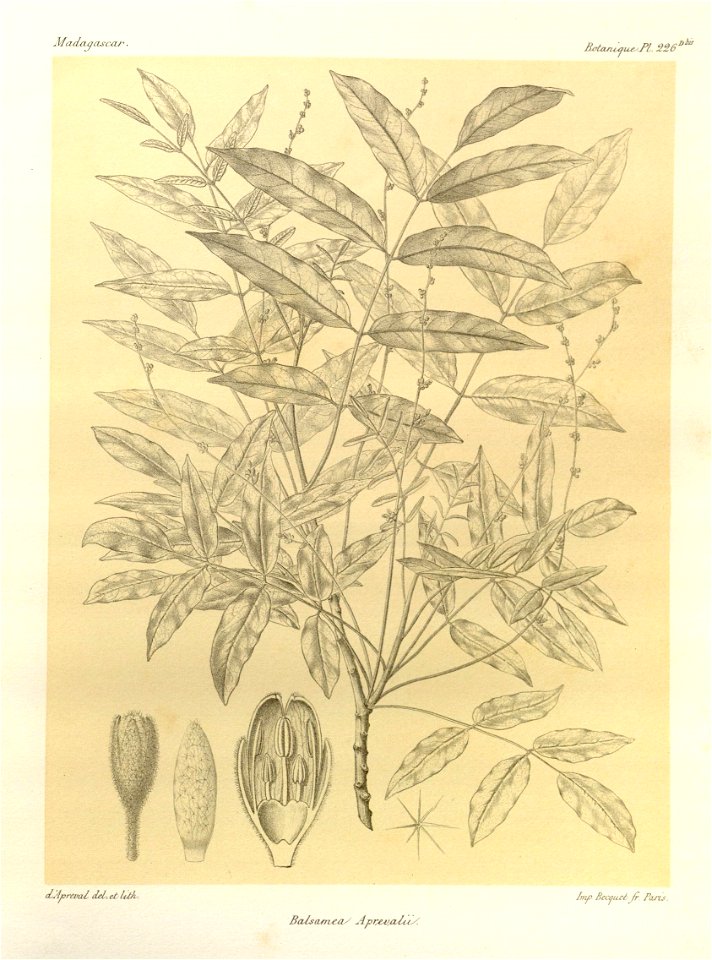 n102_w1150