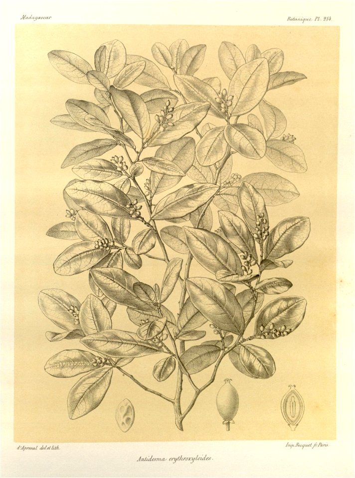 n85_w1150