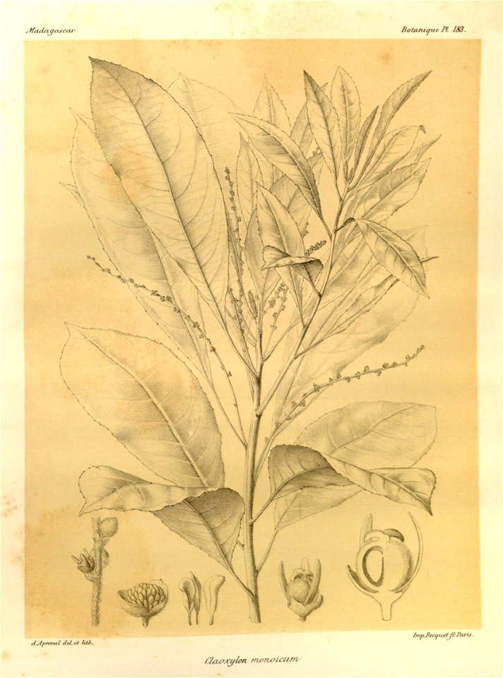 n54_w1150