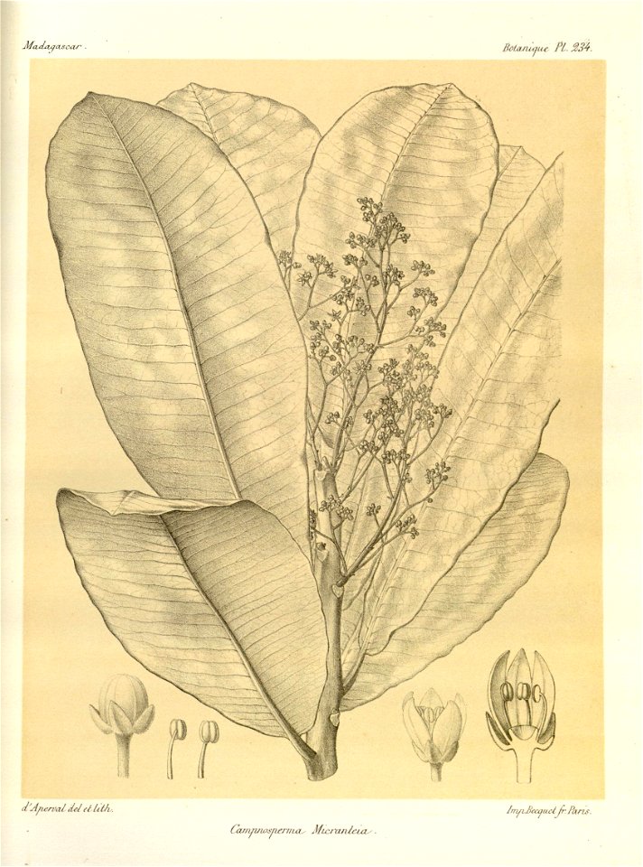 n113_w1150