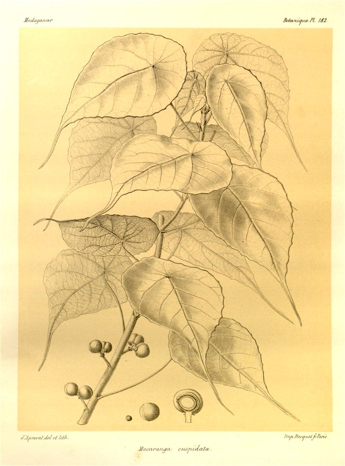 n53_w1150