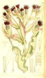 n122_w1150