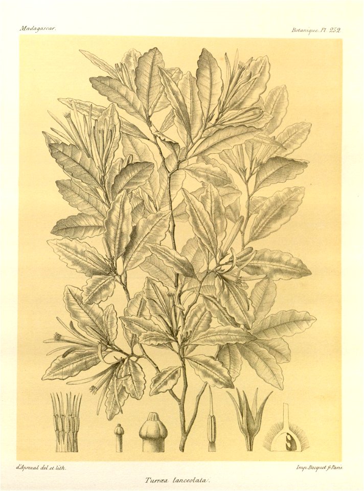 n135_w1150