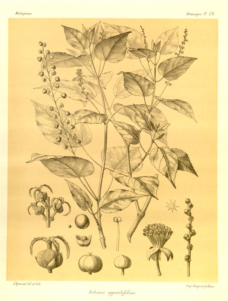 n45_w1150