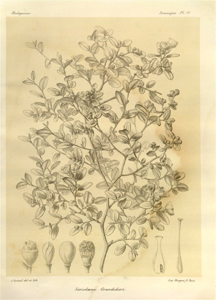 n121_w1150