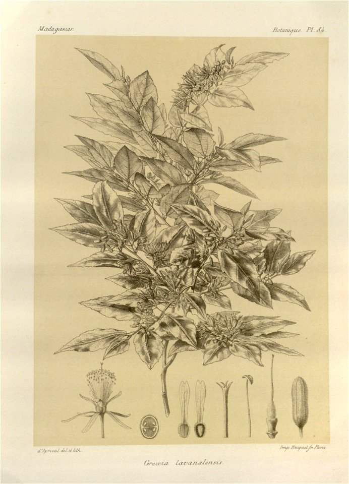 n106_w1150