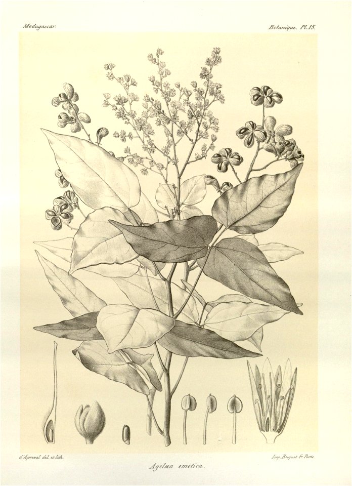 n16_w1150
