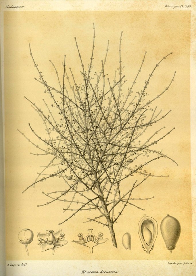 n34_w1150