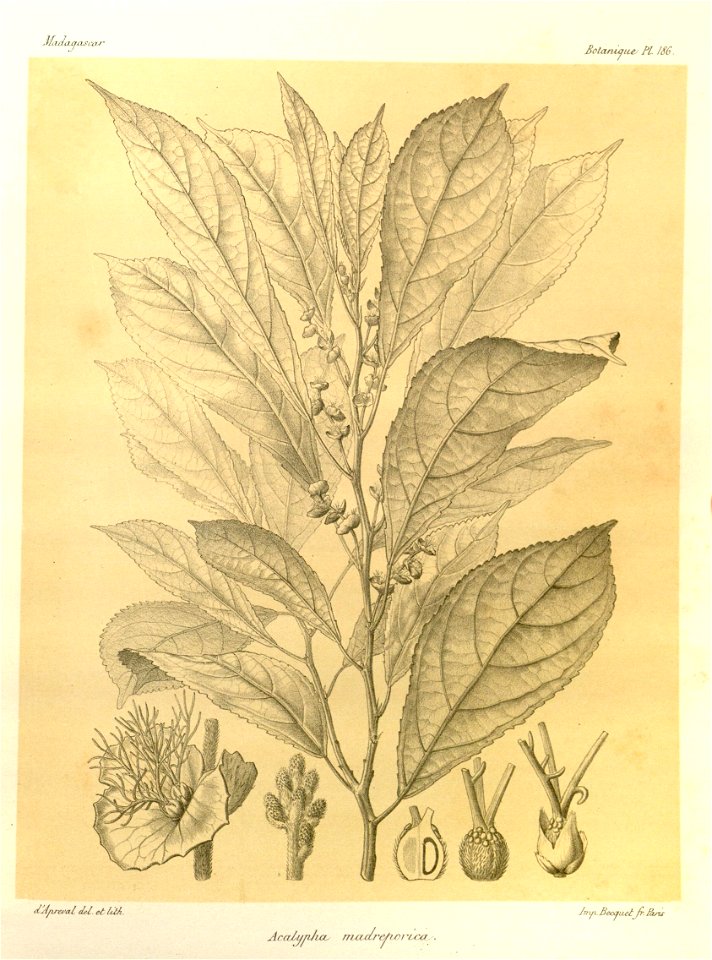 n57_w1150