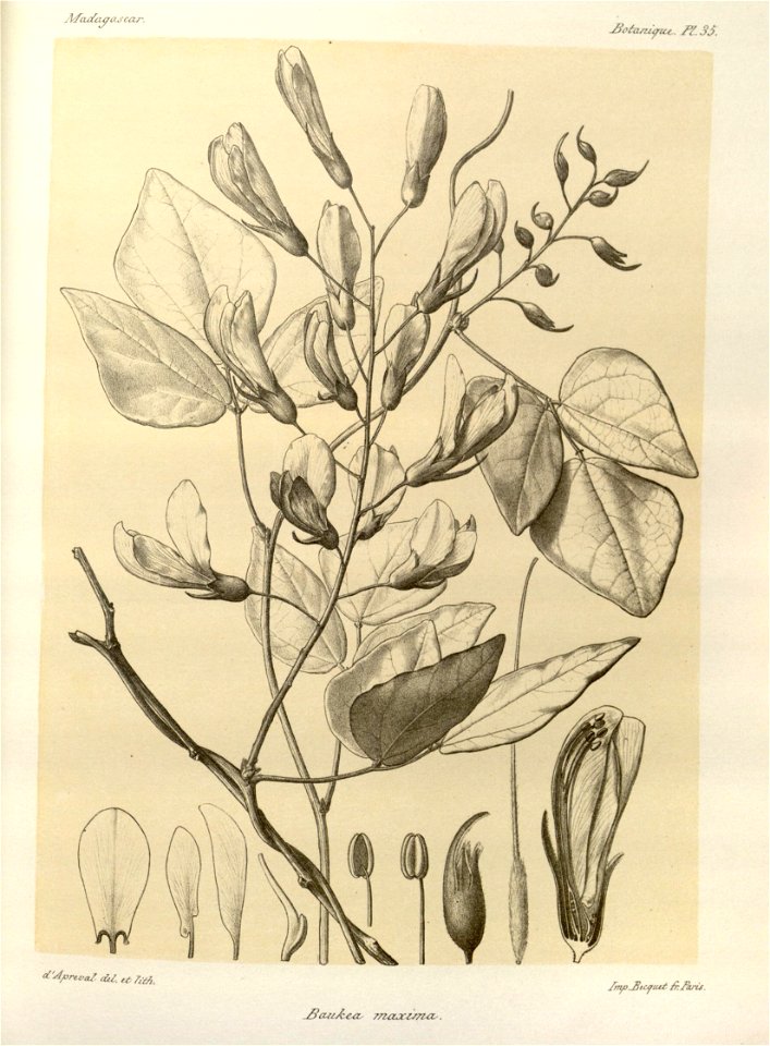n44_w1150