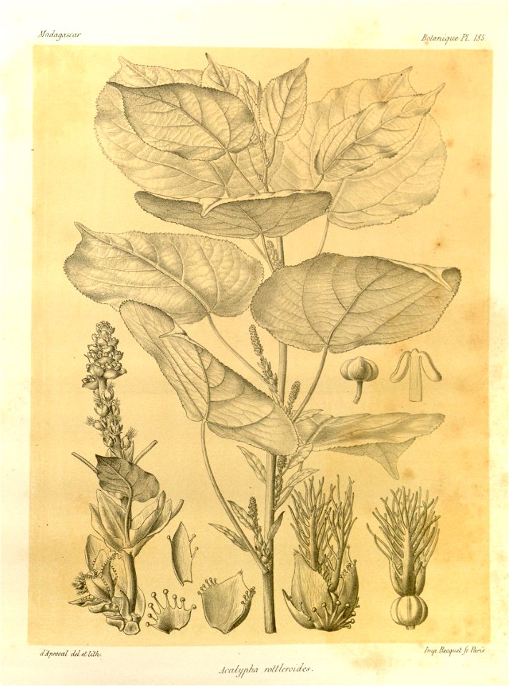 n56_w1150