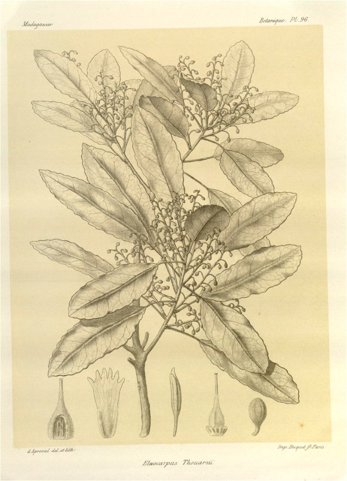 n118_w1150