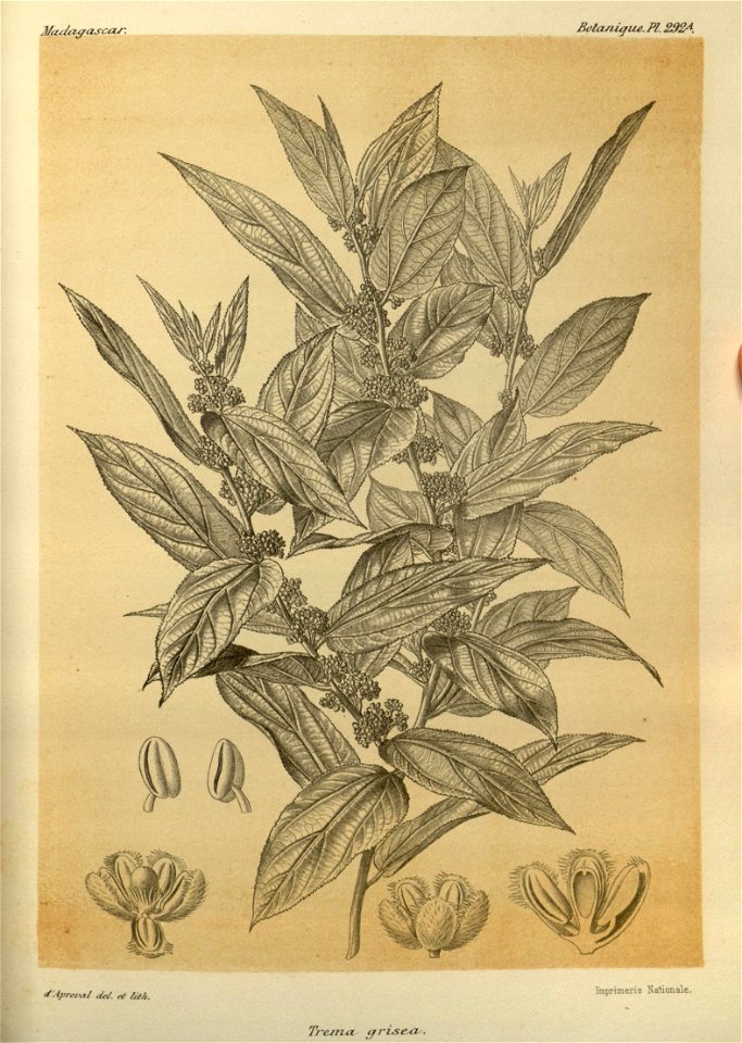 n43_w1150