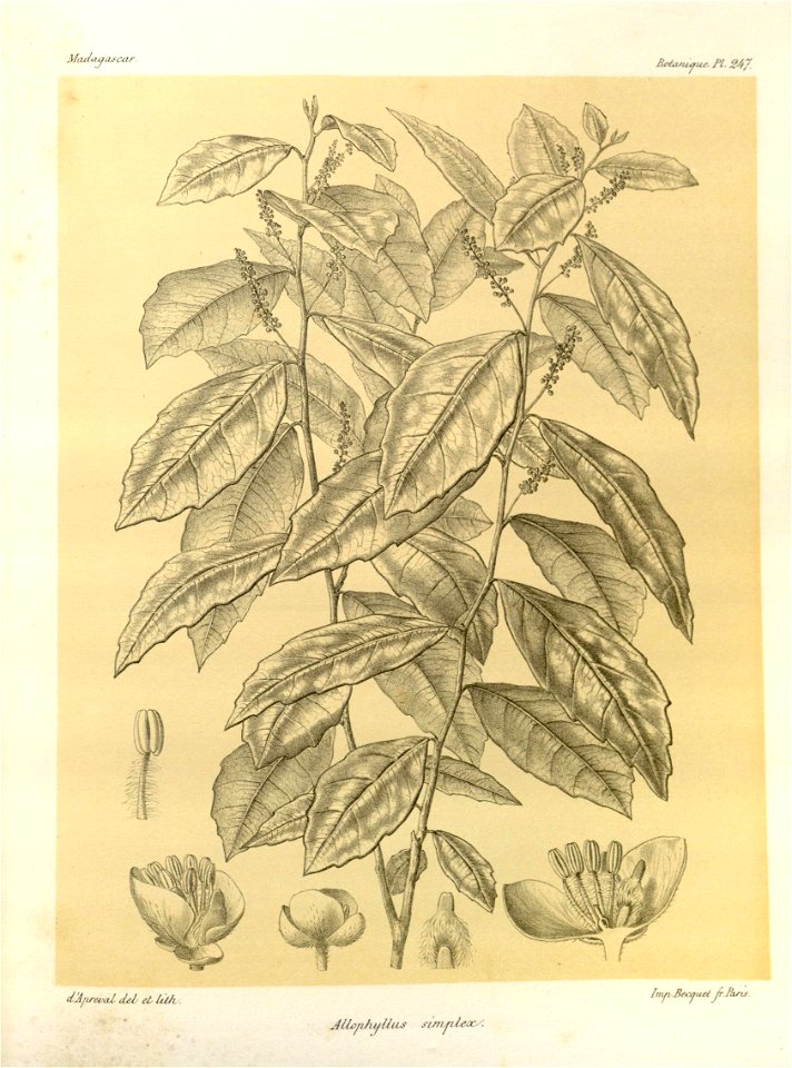 n127_w1150