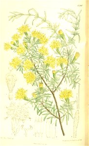 n119_w1150