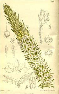 n110_w1150