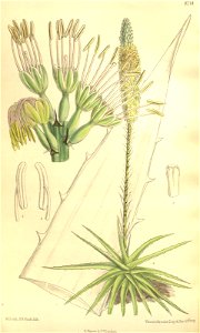 n178_w1150
